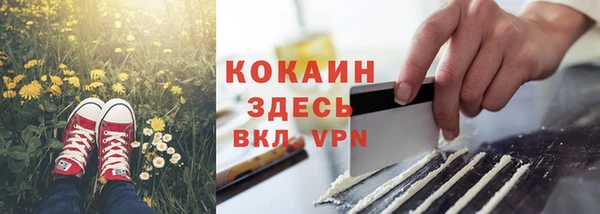 ПСИЛОЦИБИНОВЫЕ ГРИБЫ Зерноград