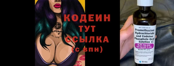 хмурый Инсар