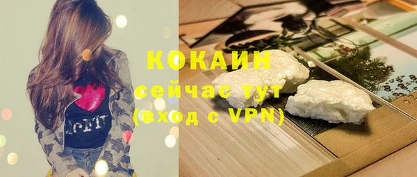 хмурый Инсар
