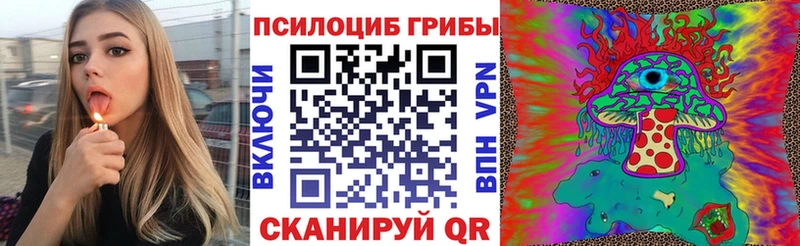 Купить где Дубна Псилоцибиновые грибы мухоморы